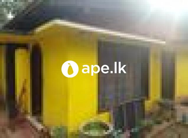 à¶±à·’à·€à·ƒà¶šà·Š à·€à·’à¶šà·’à¶«à·“à¶¸à¶§ - à¶´à·à¶½à·Šà¶¸à¶©à·”à¶½à·Šà¶½